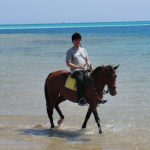 horse-riding-hurghada